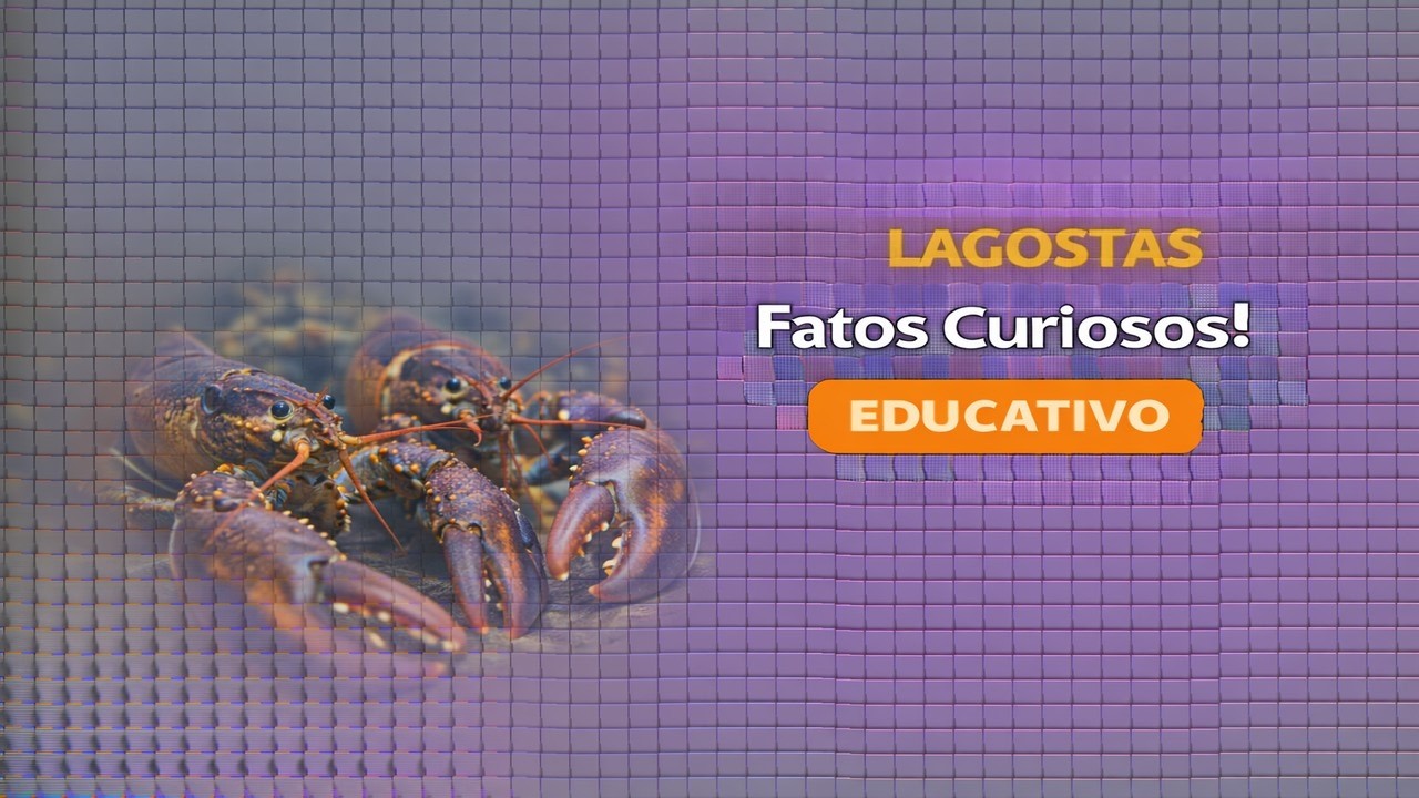 LAGOSTAS: CURIOSIDADES SURPREENDENTES QUE NINGUÉM TE CONTA...