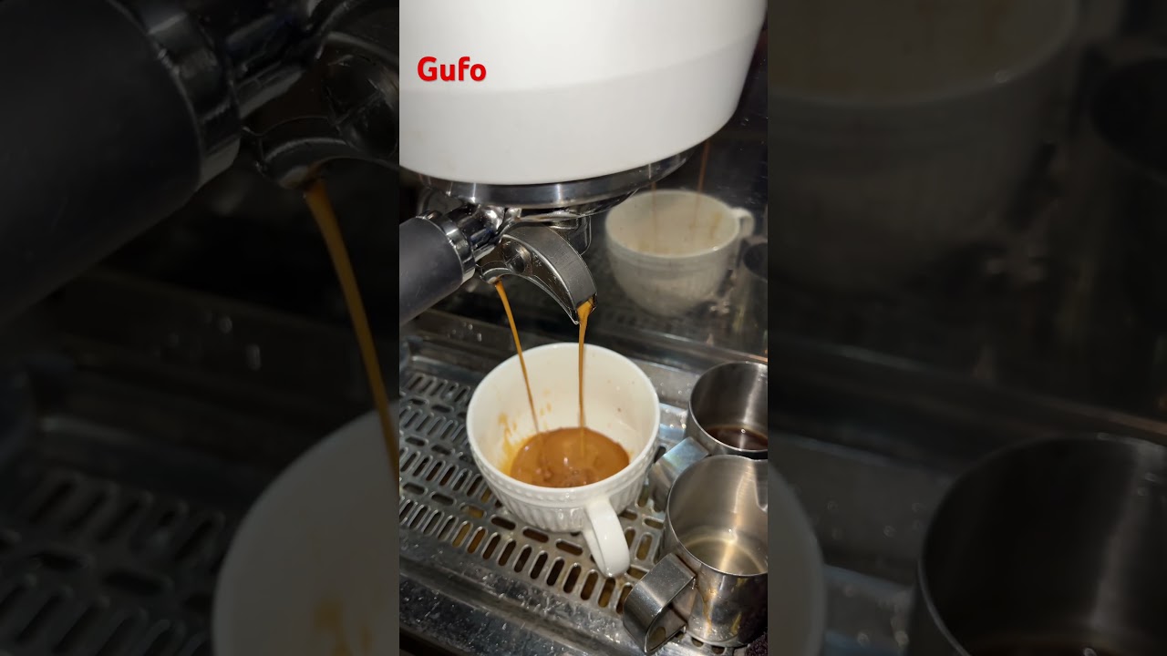 Gufo #phoenix #coffee #sochi #ремонткофемашин #barista #espresso SunMary