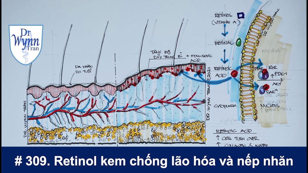 #309. Крем с ретинолом против старения и морщин, который должен быть у каждого.