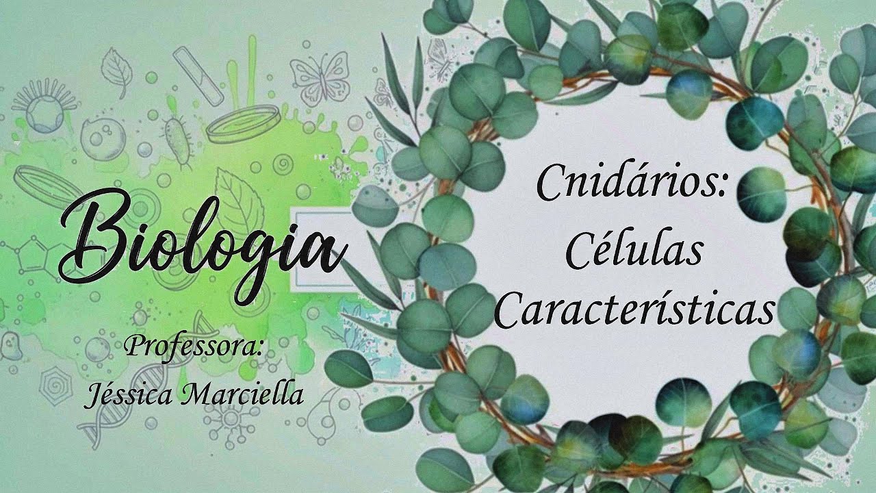 8.3.4 Cnidários: Células Características