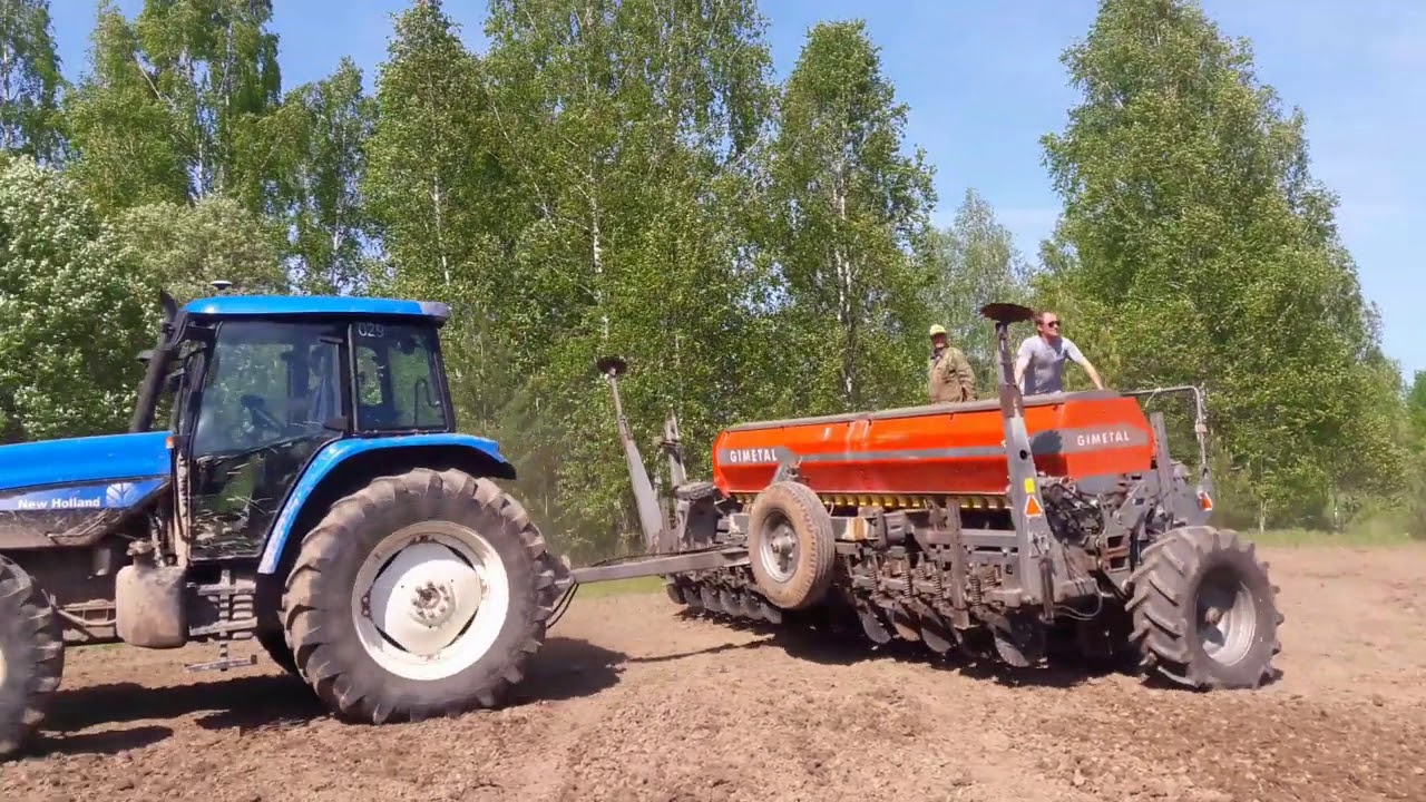 29.05 2020г. Сеем люпин.