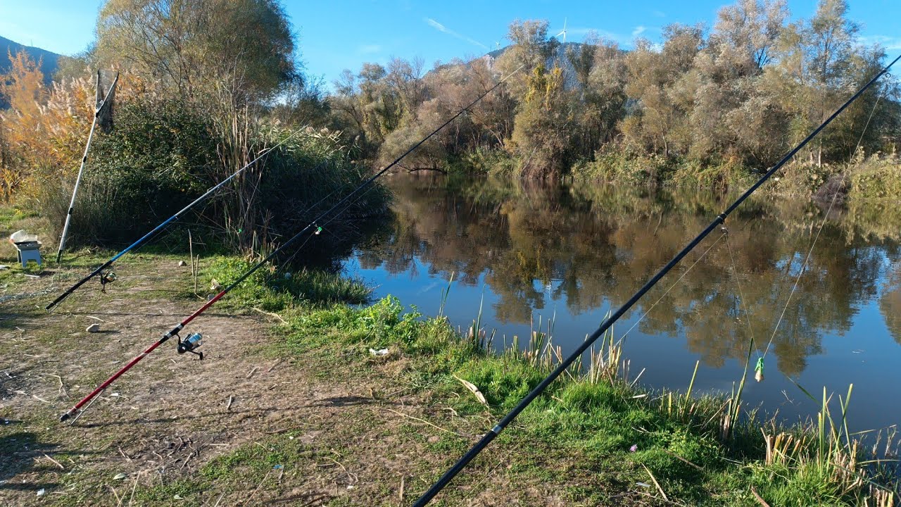 Sakarya Nehrinde Keyif Dolu Sazan Avı &ndash; Tam Bir Doğa Terapisi - Fishing in the River