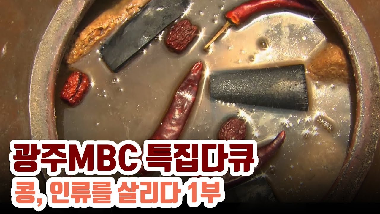 장수의 비결, 세계가 슈퍼푸드 콩에 주목한다 [다큐 콩, 인류를 살리다 1부]