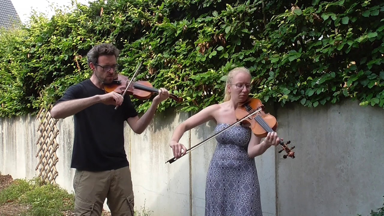 Féileacán - Tune Challenge Day 103 - Bear Creek/unknown