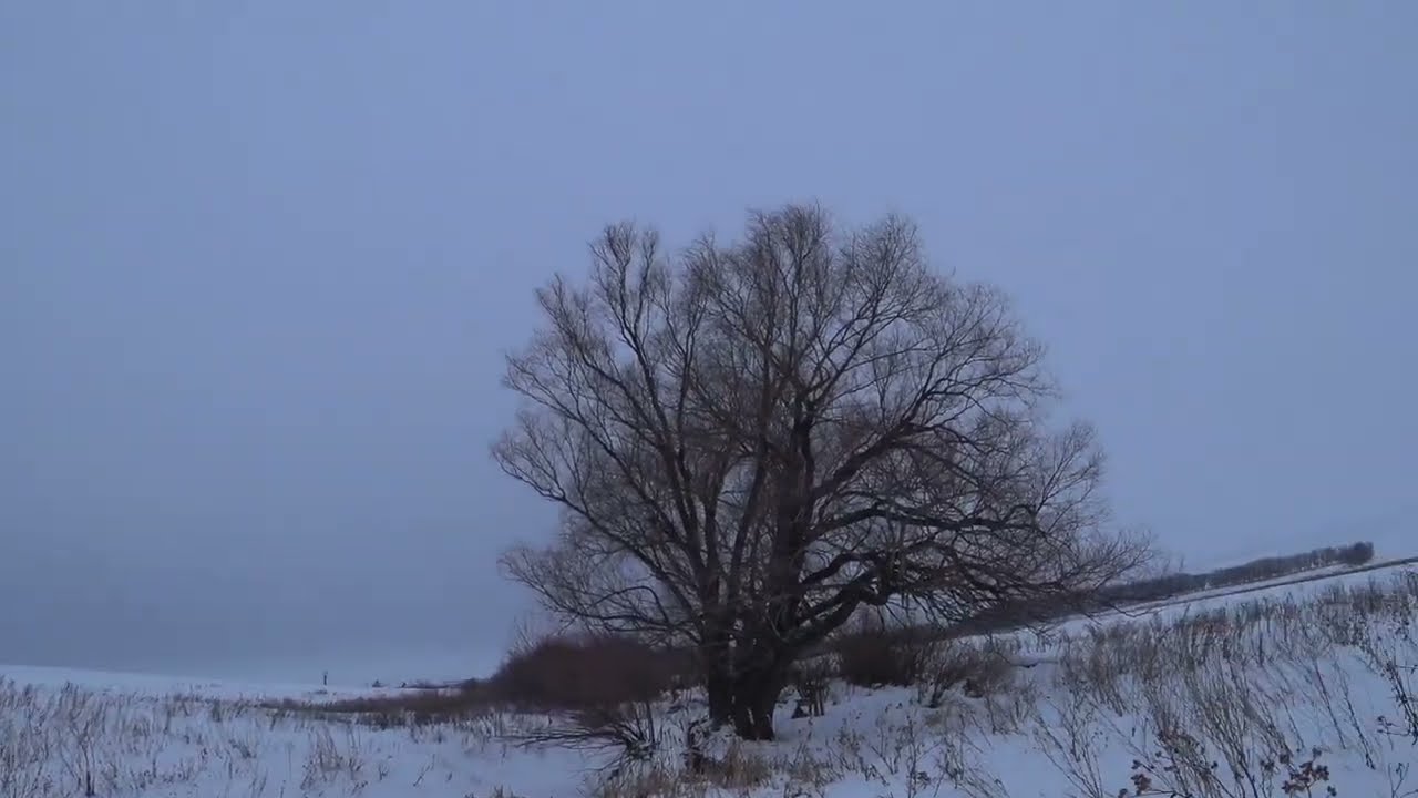 Непростая охота на зайца в начале февраля