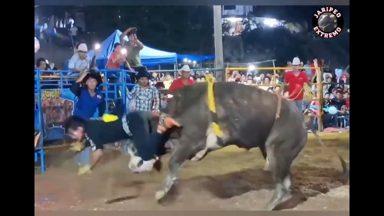 TERRIBLE DE CRUZ GRANDE🤠 🆚 TORO EL PROFETA DE RANCHO EL TIGRE🐂.2026