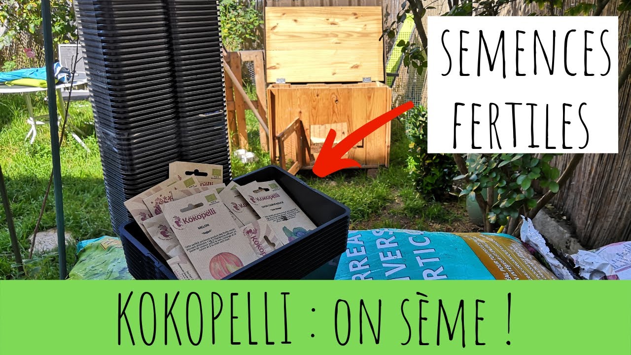 On sème ! Graines KOKOPELLI