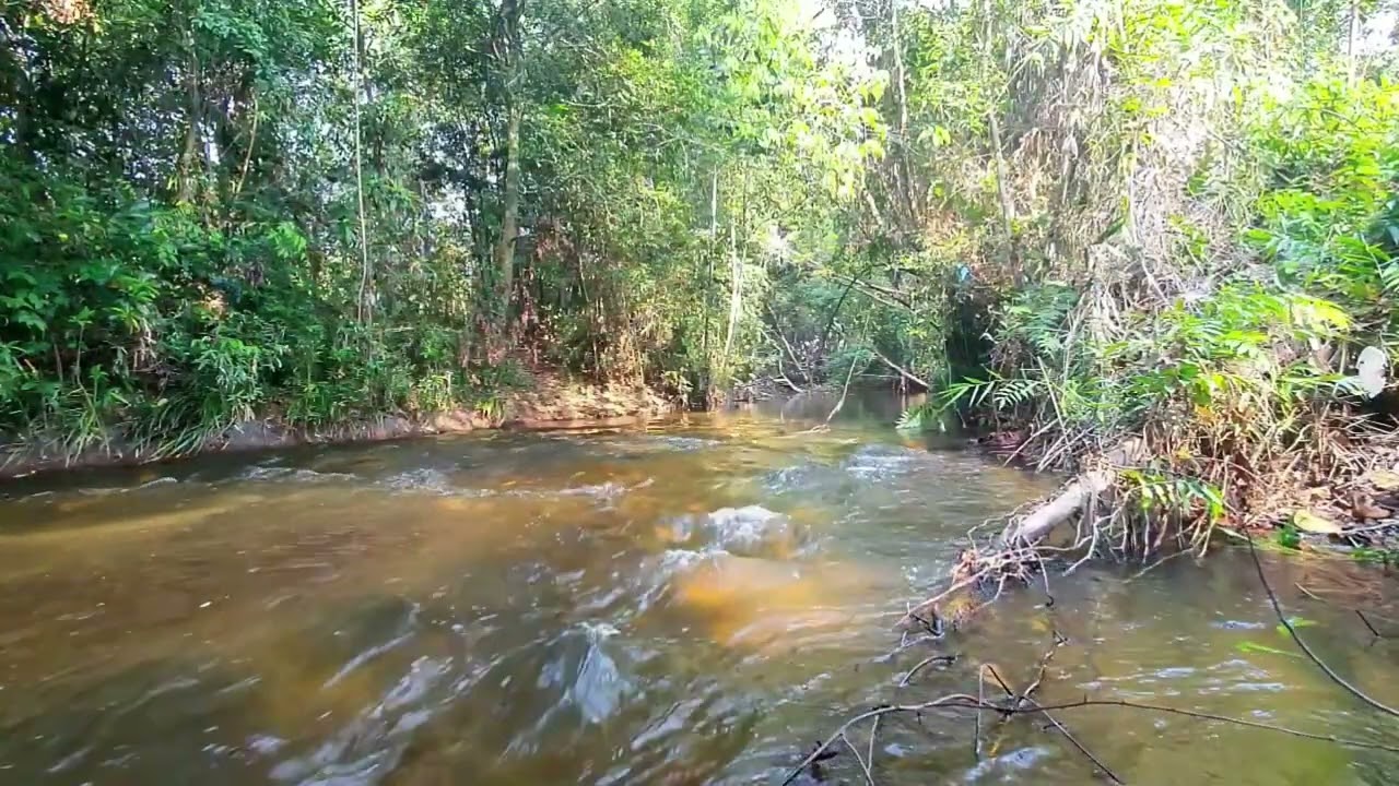 Episode 63: Sleep Listen Sounds Water Flowing River of Kulen Mount | Soothing White Noise.