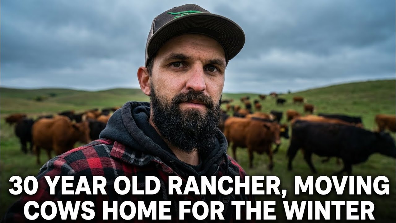 The struggles! Moving the herd to our home ranch.