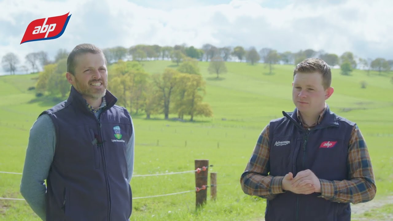 Improving the sustainability of beef production | The Advantage Beef Programme Podcast