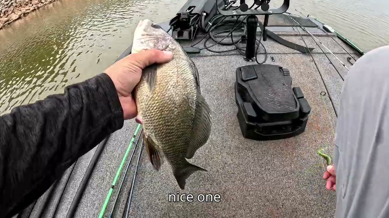 A Morning at Lake Arcadia
