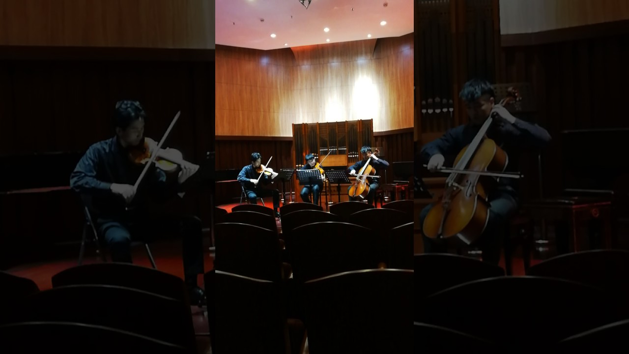 Adolphe Blanc trio op25 (3rd.mov.)FANTASIA.