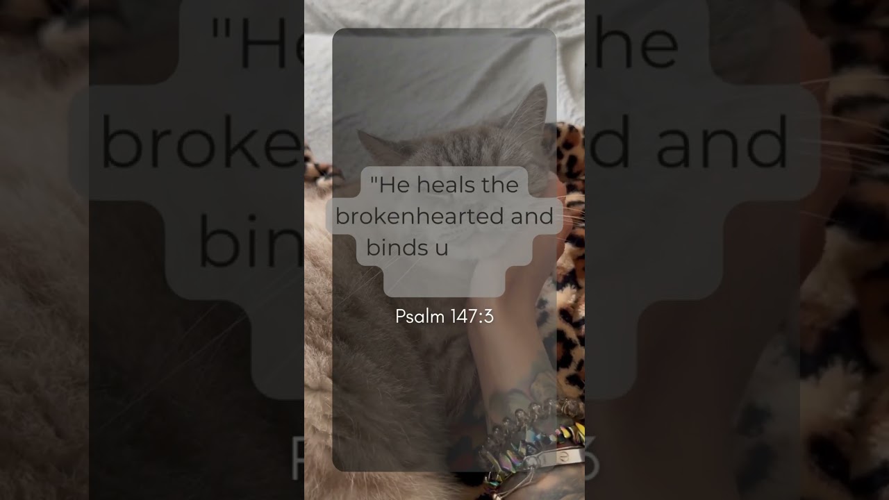 Psalm 147:3 | #HealingGod #Brokenhearted #WoundedHearts #Psalm1473 #ScriptureMelodies