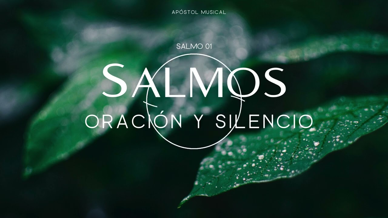 SALMO 01 - CANTADO para ORAR, y Traer Paz A TU VIDA. y VIVIR LA SANTIDAD, Cantemos con la BIBLIA.