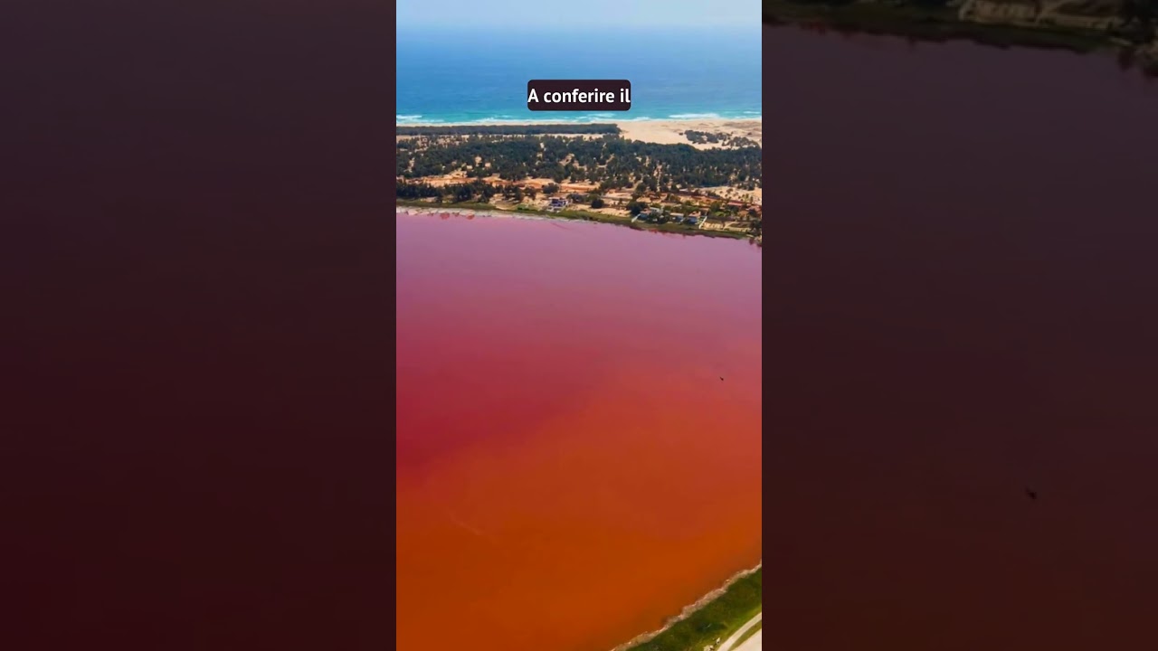 👚 In Africa c'&egrave; un LAGO ROSA 😱 #curiosit&agrave; #shorts
