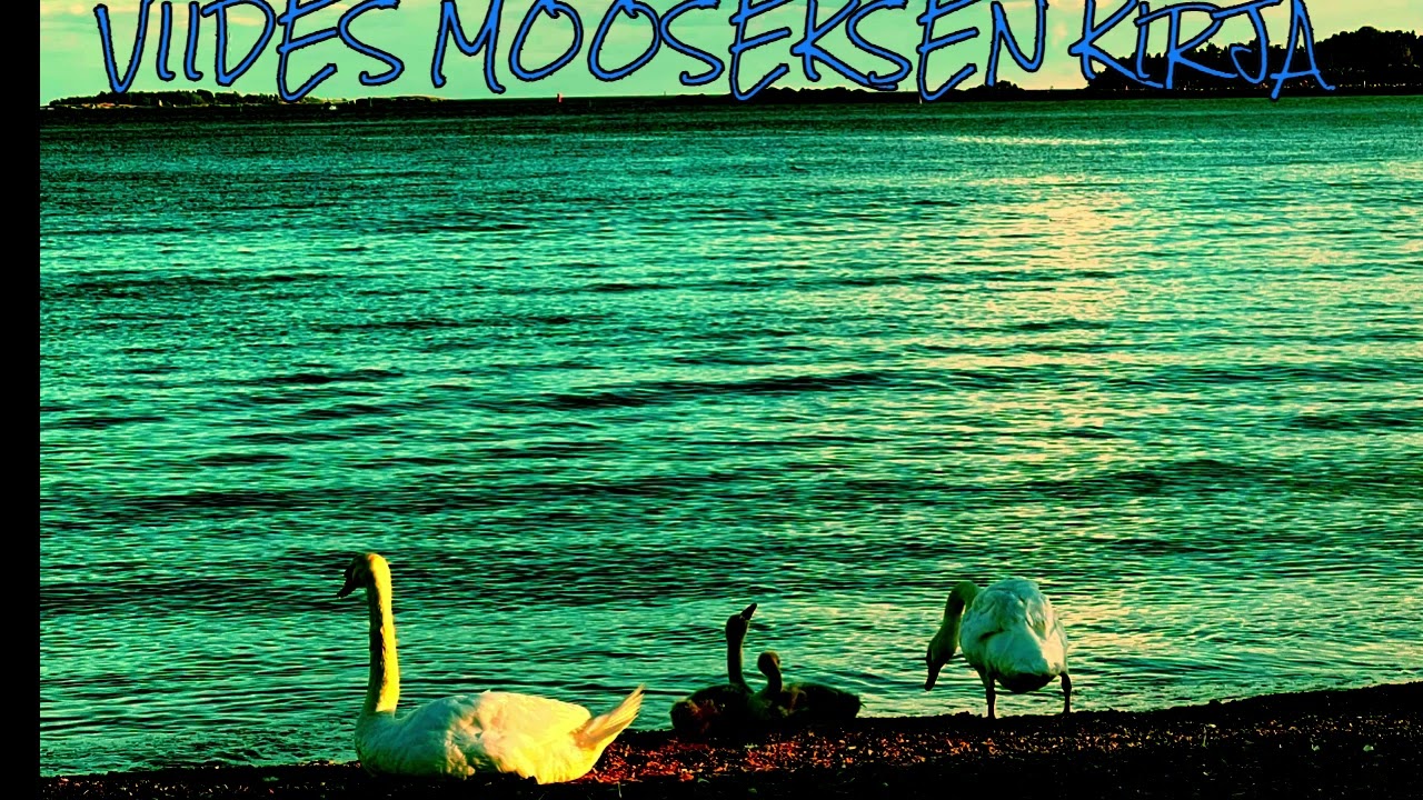VIIDES MOOSEKSEN KIRJA DEUTERONOMINUM