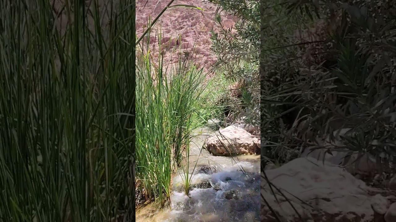Hiking Wadi Al Karak - Jordan #hiking #hikingadventures #hike #hikingtrails #hikinglife