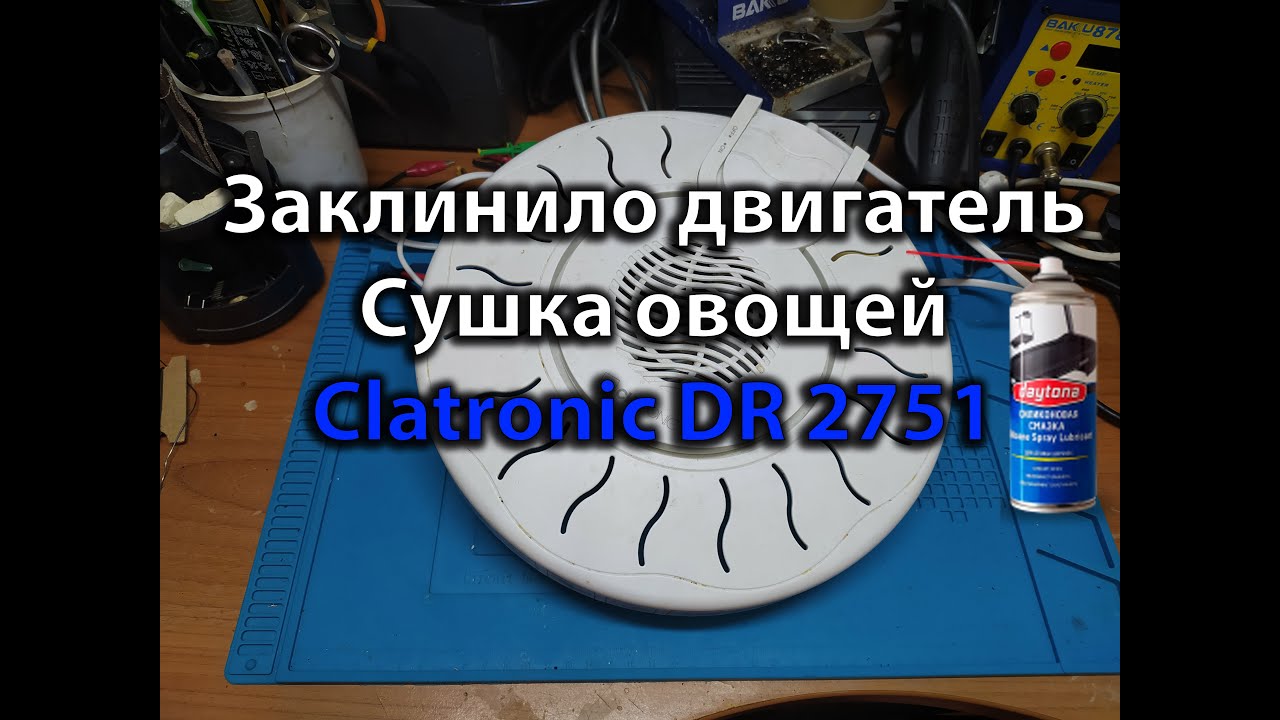 Заклинило двигатель сушка овощей и фруктов CLATRONIC DR2751