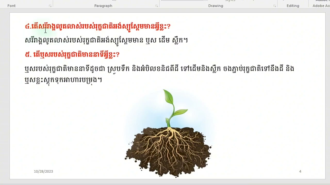 មេរៀនអង់ស្យូស្ពែម សំណួរ&ចម្លើយ អបដោយរូបភាព