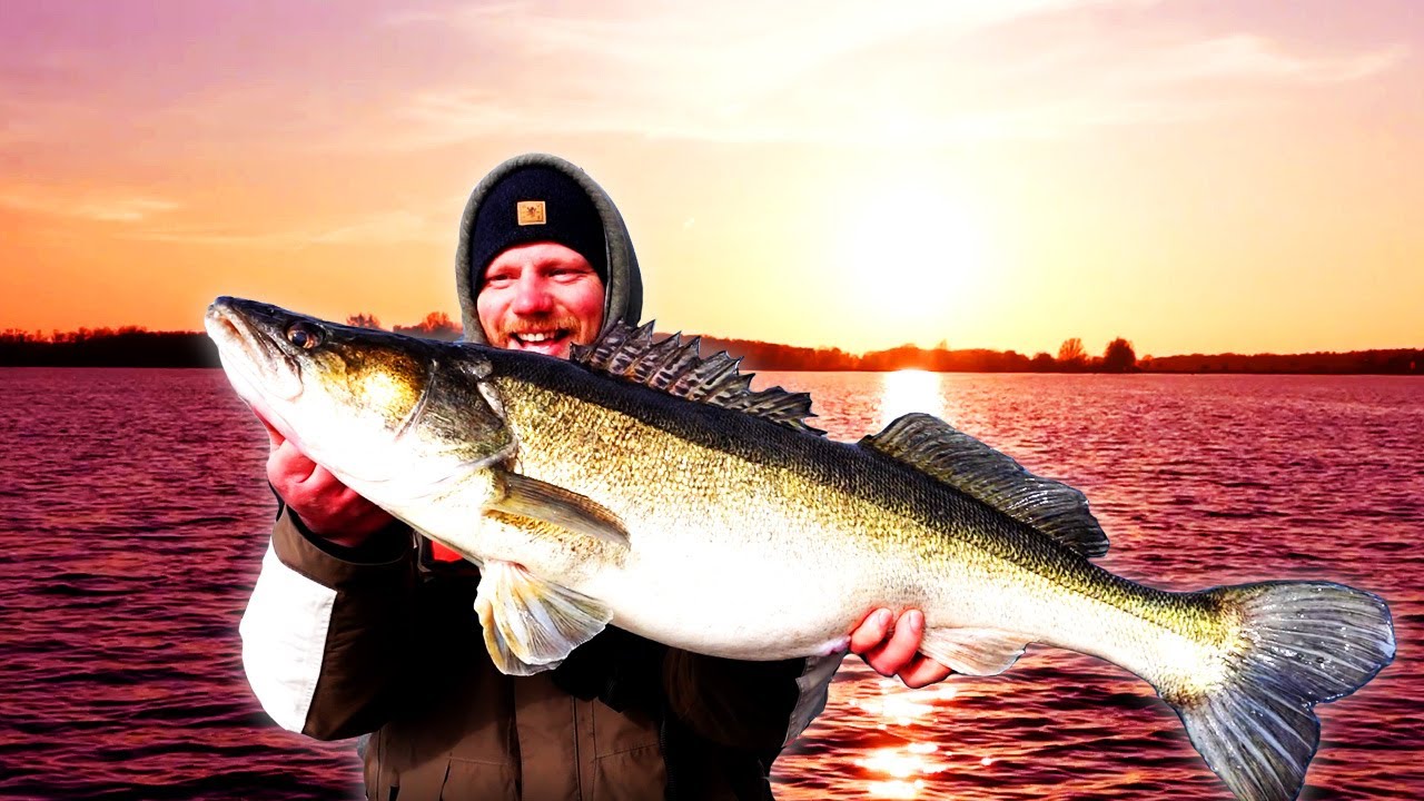 MONSTER ZANDER! 2x PB geknackt! Fünf Tage auf der Müritz!