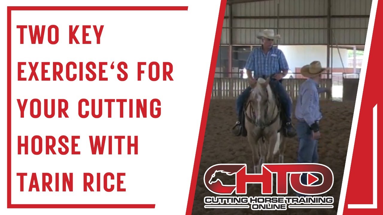 Two Key Exercise's For Your Cutting Horse with Tarin Rice