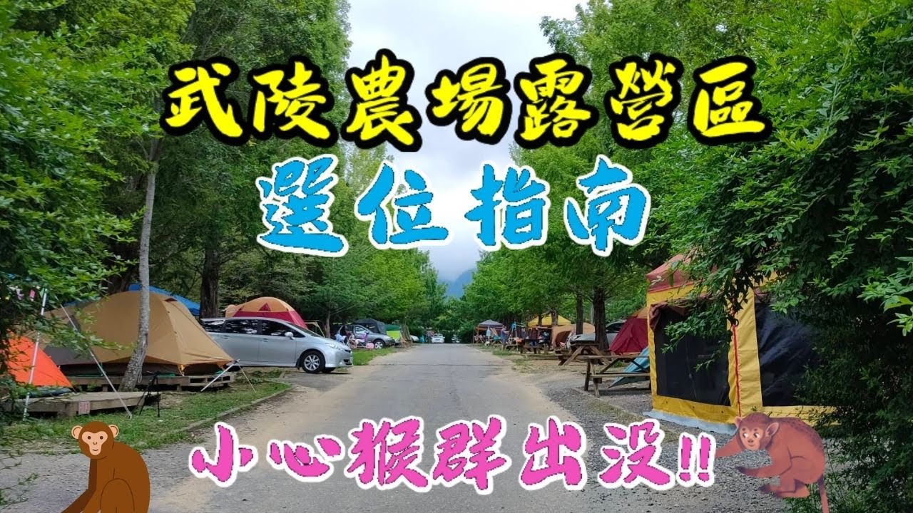 武陵農場露營區怎麼選位？【露營區用電不跳電妙方】環島旅行《憂娘駕駛Outdoor》