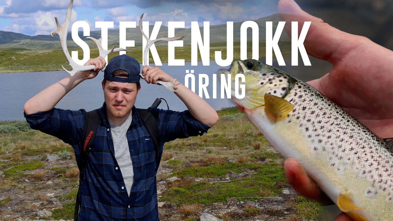 Två bröder på Fjället. [4K]