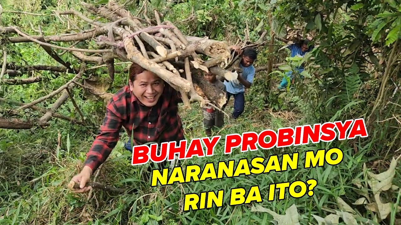 NASUBUKAN MO RIN BA NA GANITO NAGHAHANAP NG KAHOY PANGGATONG?
