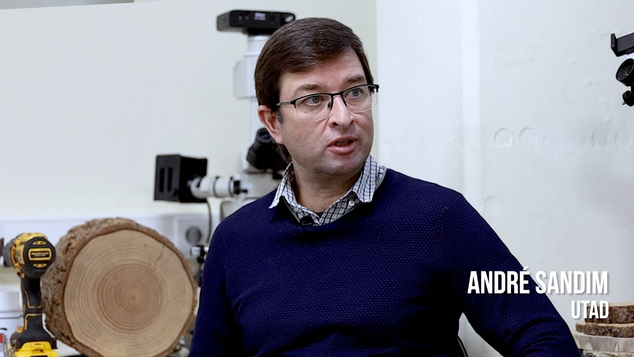 Resinagem em Sistema Fechado: os avanços da investigação