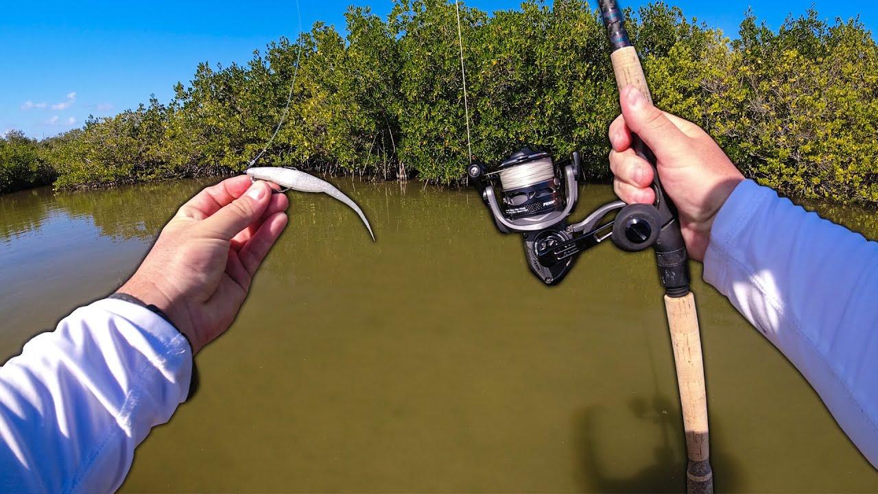 Fishing Florida Backwaters for Redfish and Snook with a Fluke!