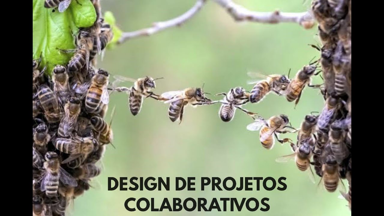 Design de Projetos Colaborativos - Aula 1