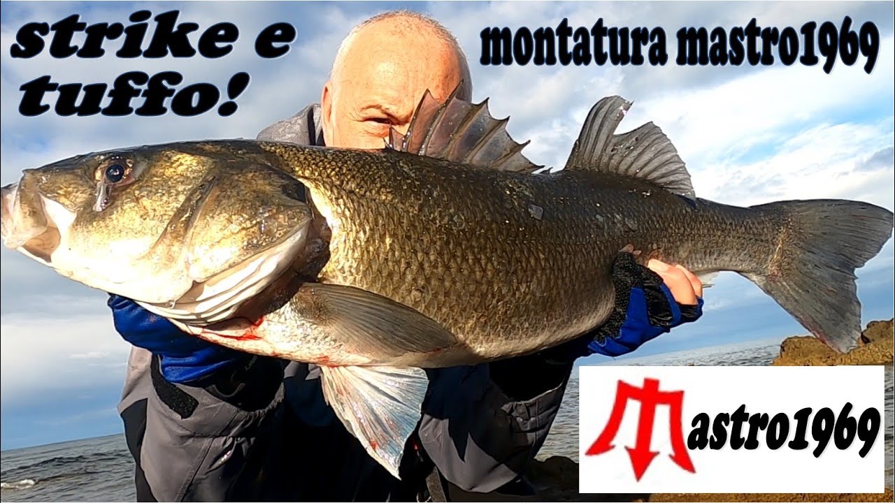 spigola spinning spigolone strike e tuffo montatura mastro1969 sea bass cattura epica