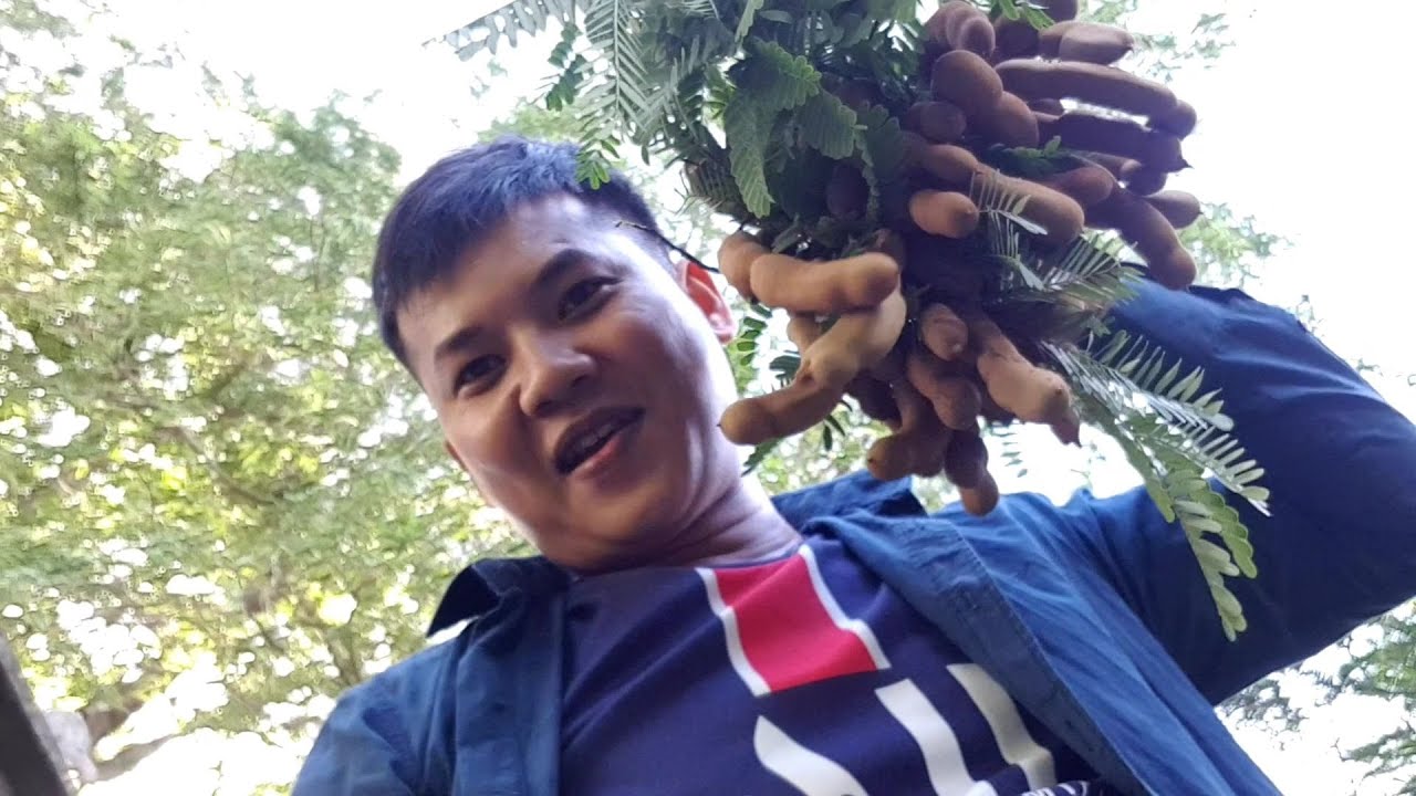 Đi v&ocirc; g&ograve; h&aacute;i me về ăn/NO.TIDI
