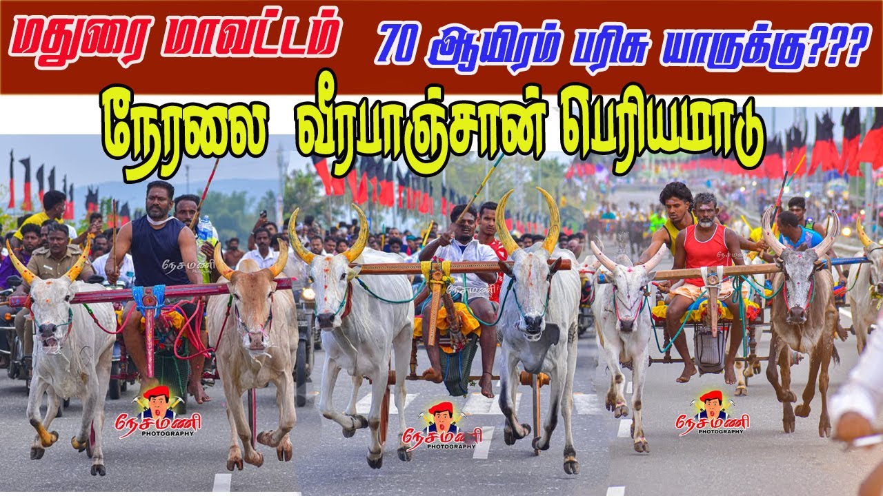 நேரலை வீரபாஞ்சான் பெரியமாடு 70 ஆயிரம் பந்தயம்