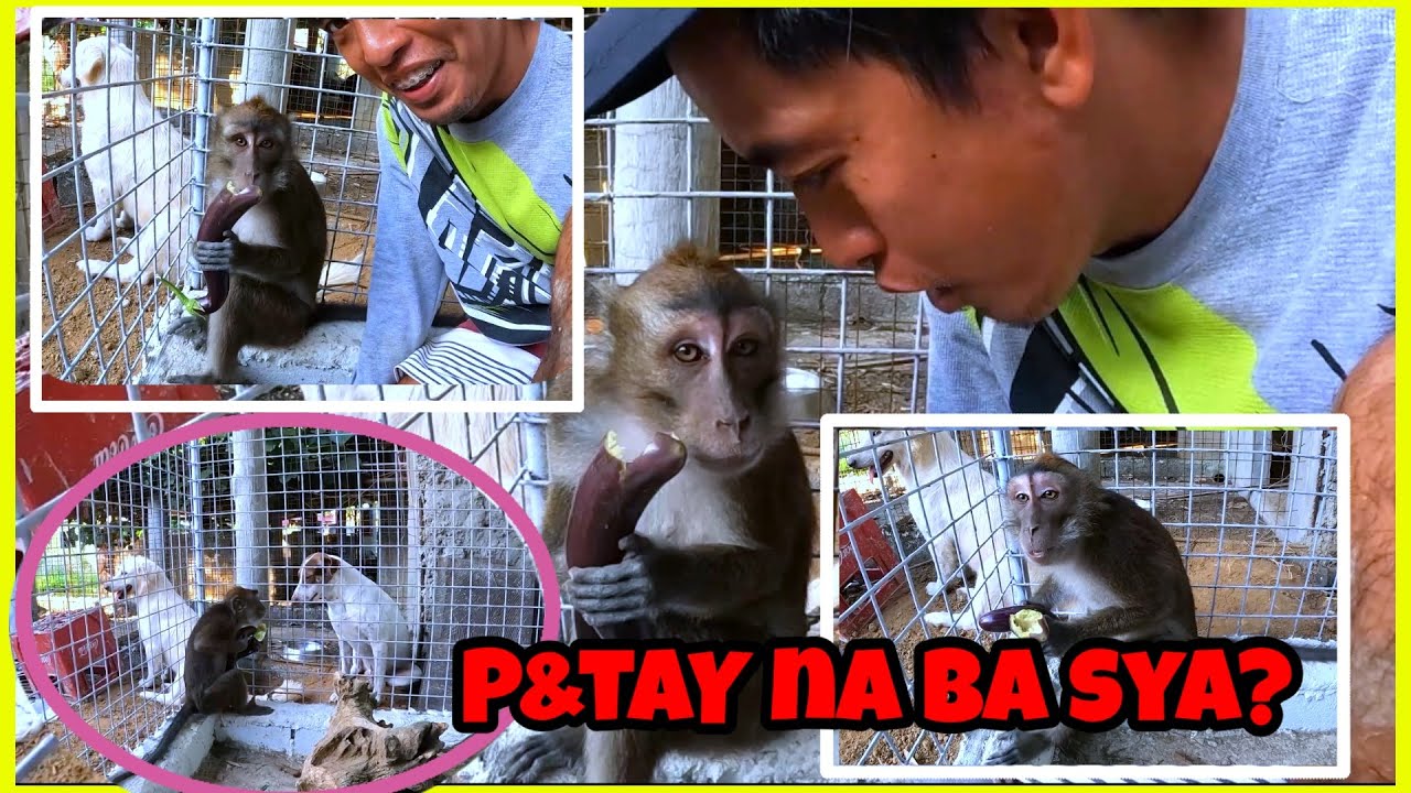NAMISS KO TONG SI YONGEE ANAK😍 napakasweet parin sakin, kahit may asawa na sya🥰