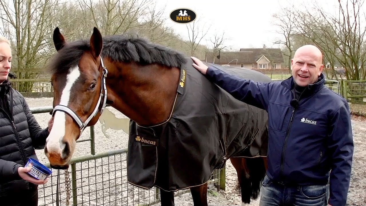 Bucas | Irish Turnout Light | Rain rug