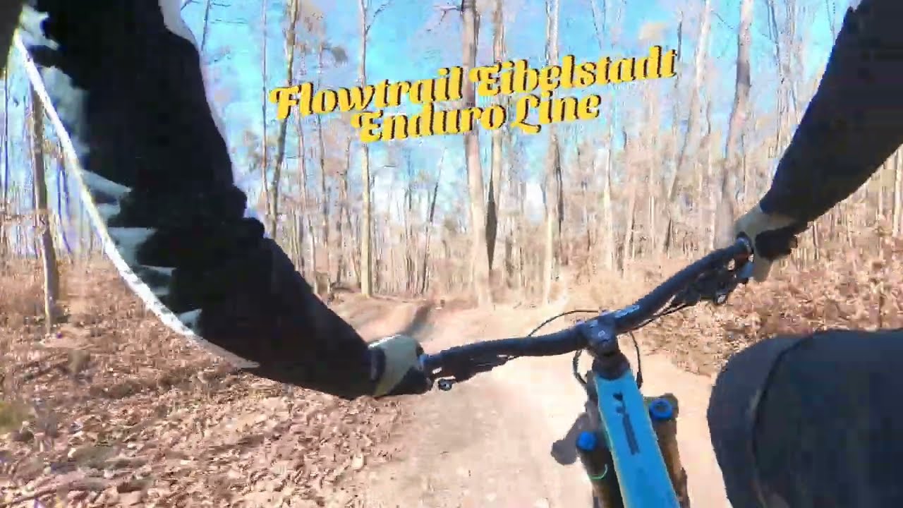 Flowtrail Eibelstadt Flowline + Enduroline | SwaggyG goes MTB #mtb #propaintyee #flowtrail