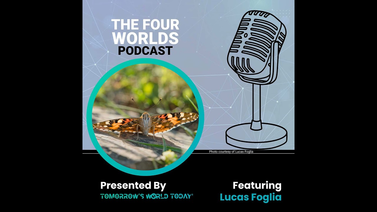 Constant Bloom: Following the World’s Longest Butterfly Migration with Lucas Foglia