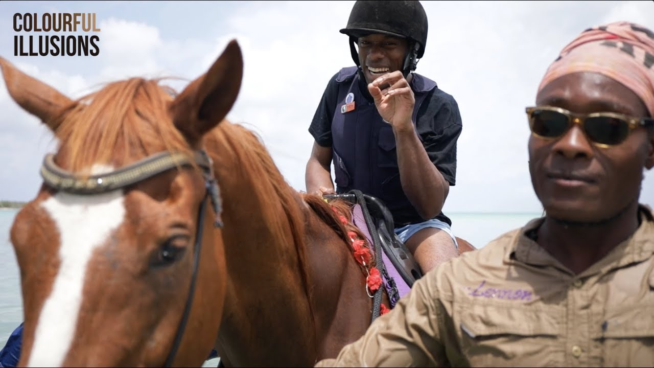 The Healing Power of Horses in Tobago