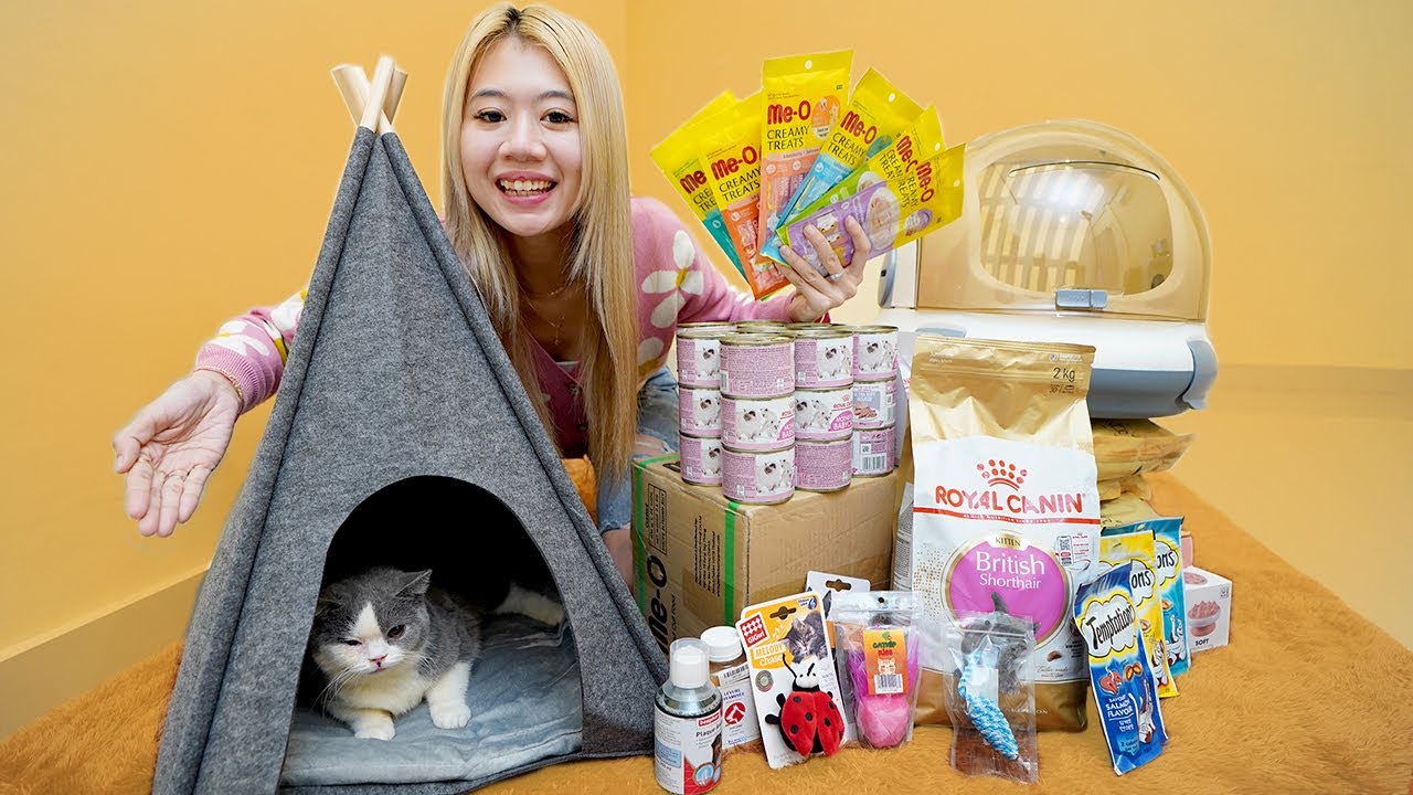 BELI PERLENGKAPAN PAM PAM KUCING!! AKHIRNYA PUNYA RUMAH BARU!!