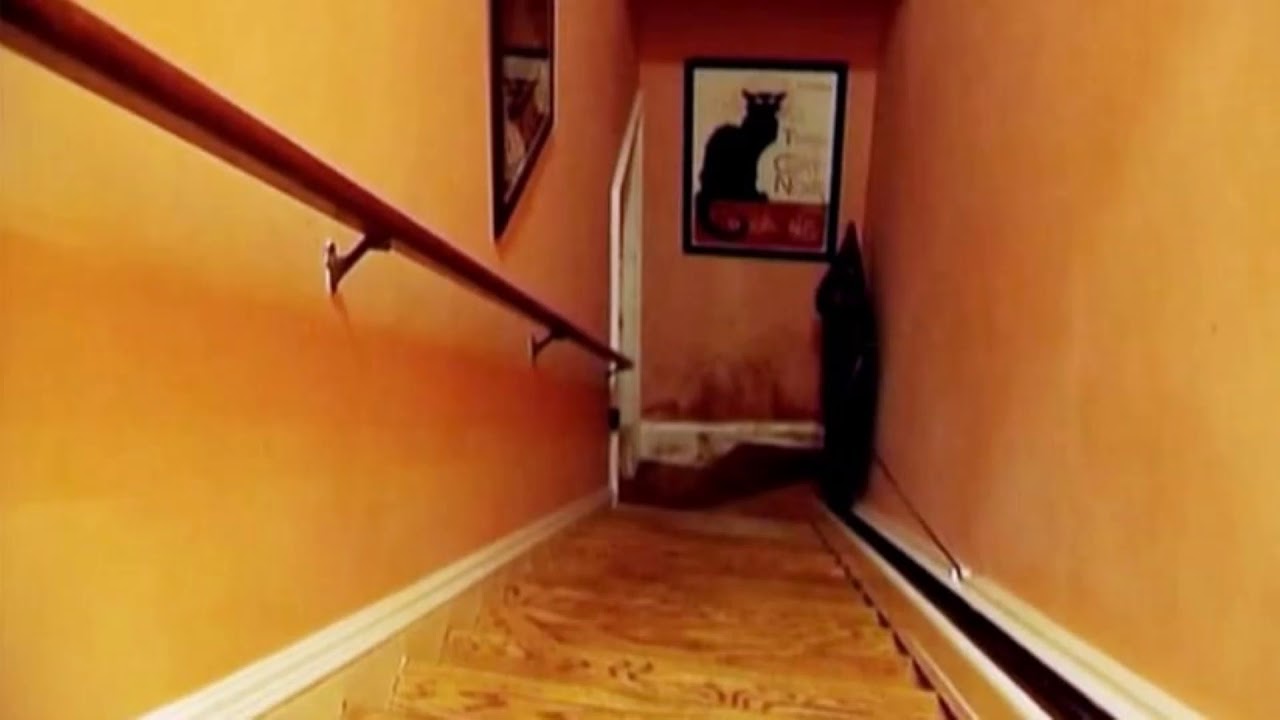 23. Michael Peterson (The Staircase) Day 1 -- Stairway to Heaven