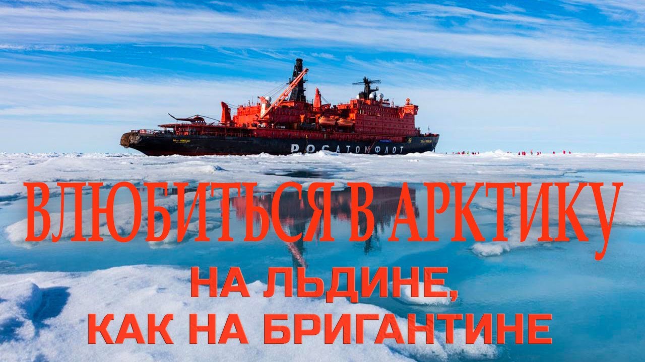 Влюбиться в Арктику 