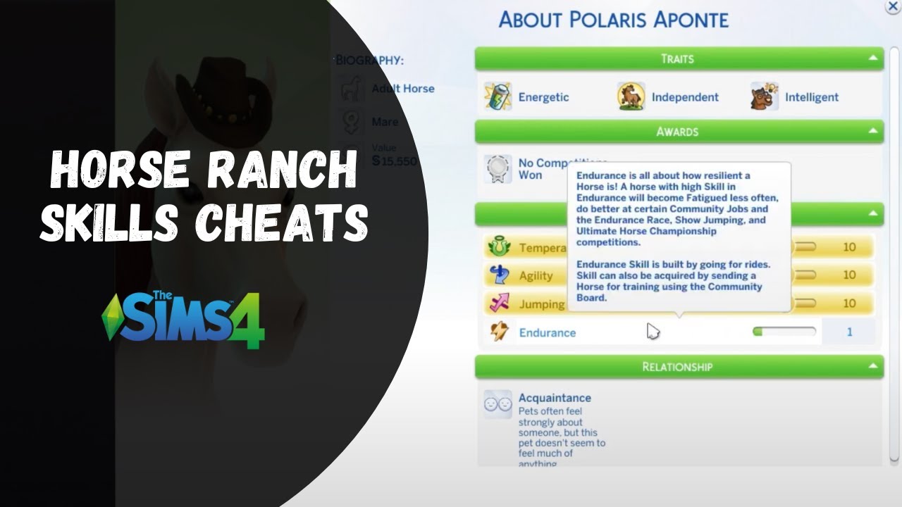 Horse Ranch Skills Cheats - The Sims 4