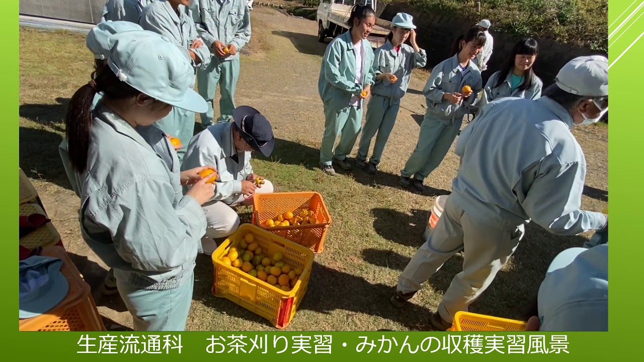 静岡農業高等学校　生産流通科　紹介動画
