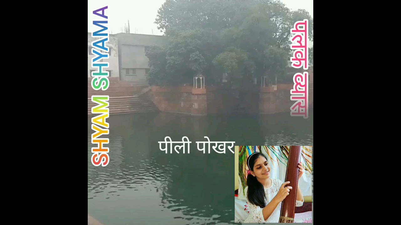 Vraj mere man bhayi | Dhaul | Palak J. Vyas | Shreeji Krupa