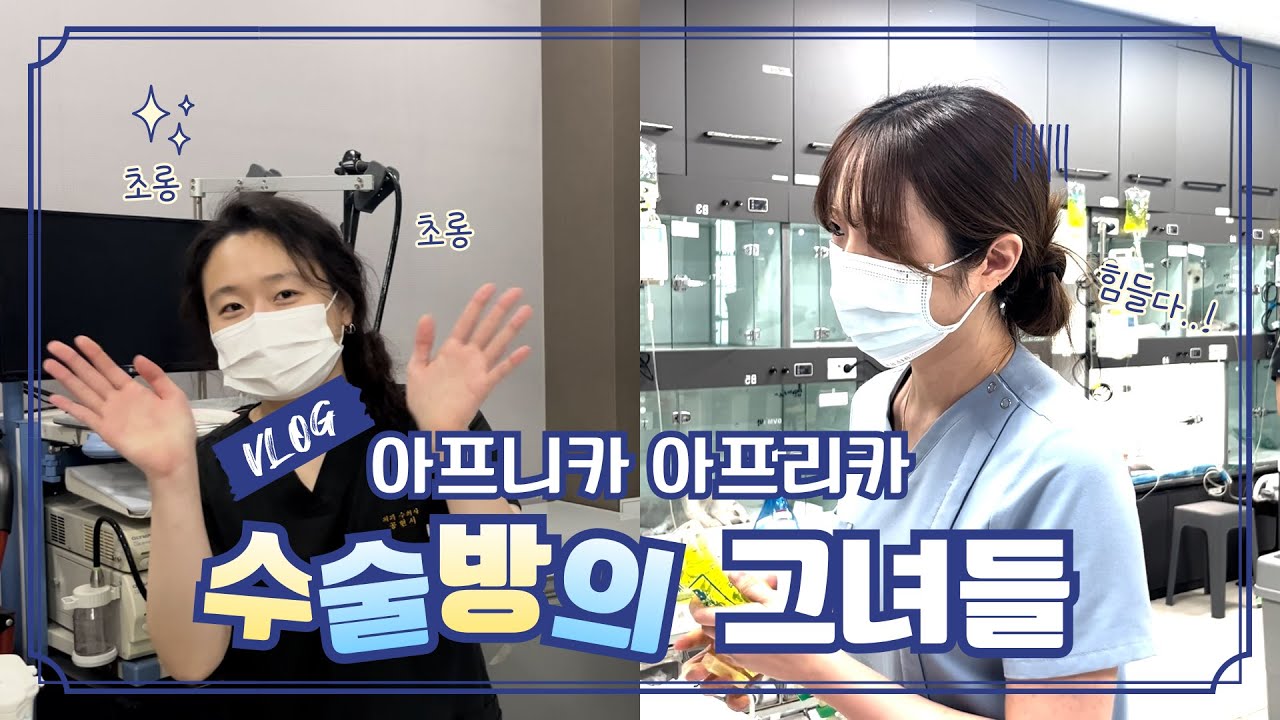 외과 수의사와 테크니션의 일상 V-log 🐶🐱💖