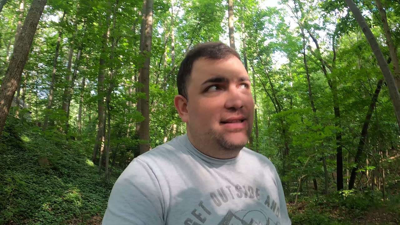 Wolcott Falls | Quick update | Hamden Connecticut