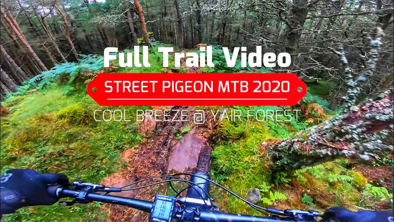 Yair Forest MTB | Cool Breeze