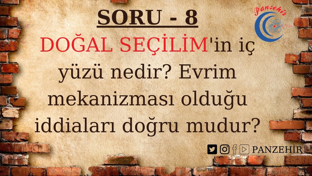 Doğal Se&ccedil;ilim Evrime Kanıt mıdır?