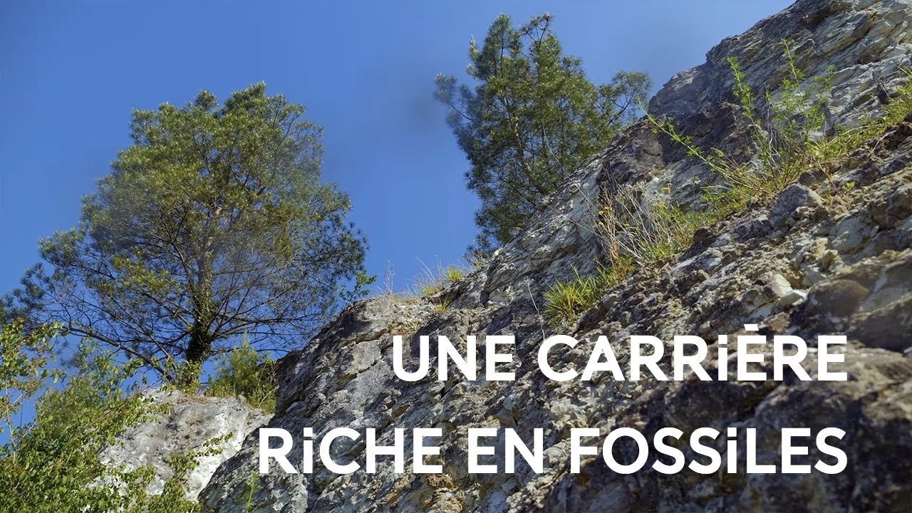 Les carri&egrave;res de Tercis : un livre ouvert sur l'histoire de la Terre